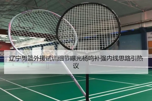 辽宁男篮外援试训细节曝光杨鸣补强内线思路引热议